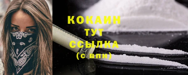 прущие грибы Арсеньев