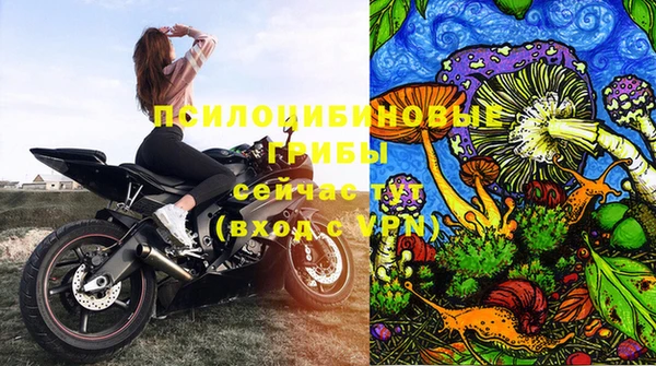 прущие грибы Арсеньев