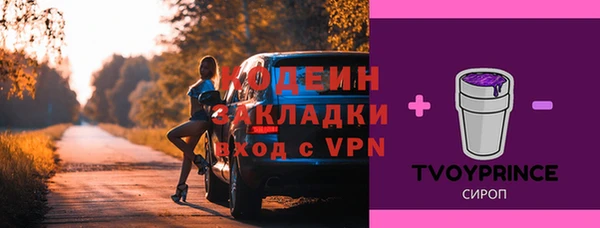 прущие грибы Арсеньев