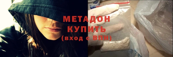 прущие грибы Арсеньев