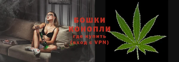 прущие грибы Арсеньев