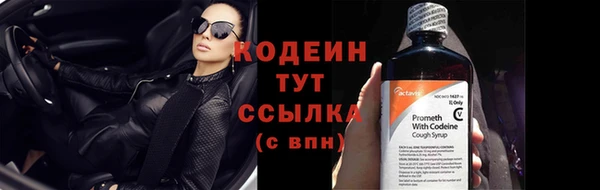 прущие грибы Арсеньев