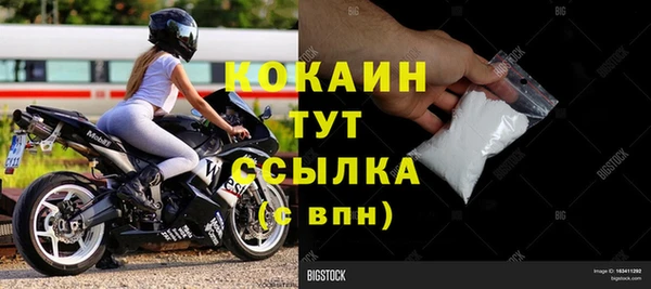 дживик Аркадак