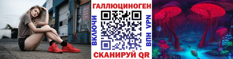 Псилоцибиновые грибы Cubensis Инта